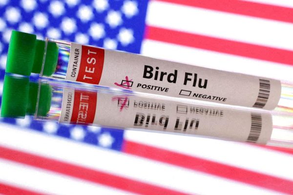 2024 12 27t051053z 235000391 Rc2rrbaoy7bo Rtrmadp 3 Health Bird Flu Usa.jpg