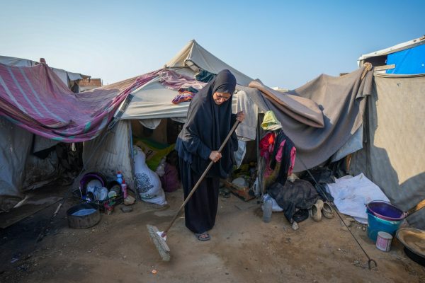 Ap24364606712194 1735537460.jpg