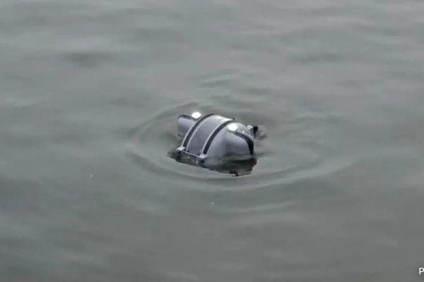 Fm7d486 Kumbh Drone 625x300 29 December 24.jpeg