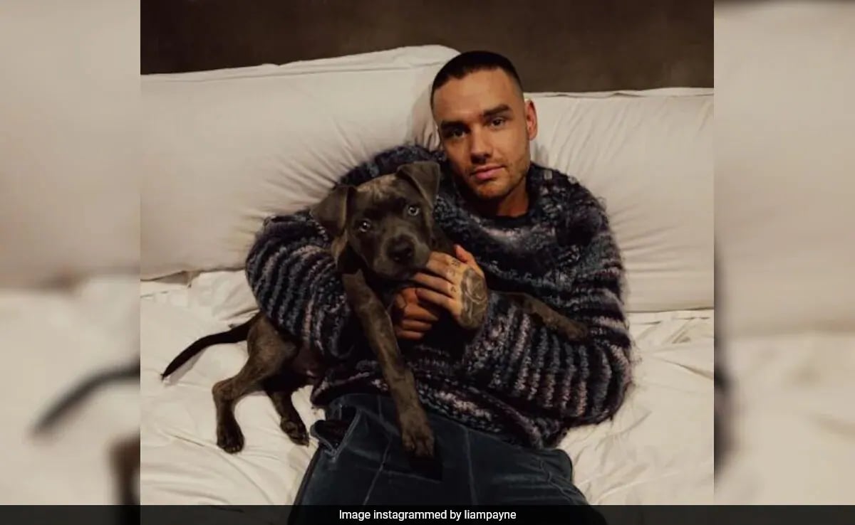 S8darldo Liam Payne 625x300 21 November 24.jpg