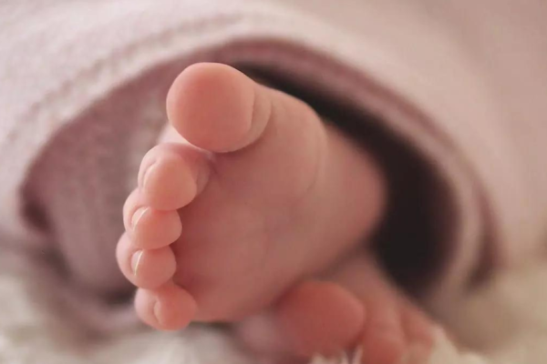 1737503343 Photo.jpg