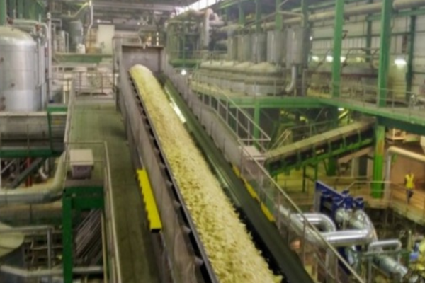 1738171024 Photo.jpg