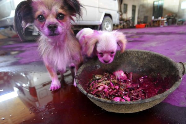 2012 09 19t102500z 01 Pek04 Rtrmdnp 3 China.jpg