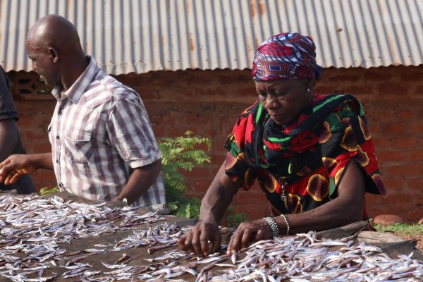 Img 0569 1737962708.jpg