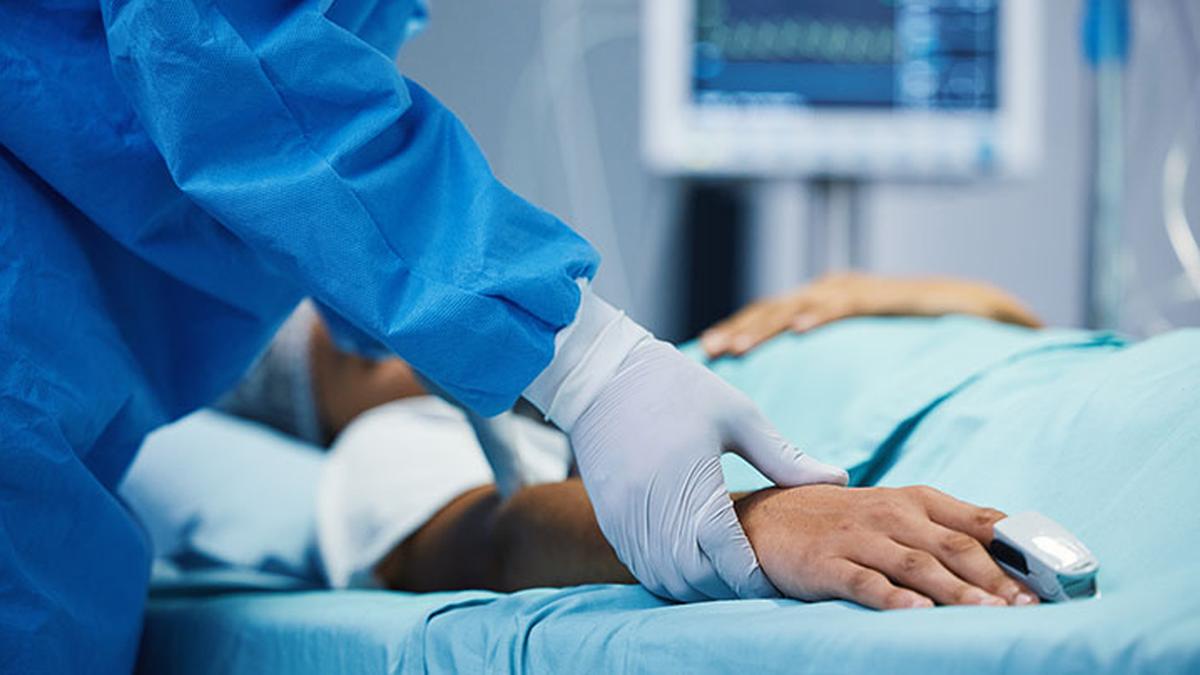 Img Istock 1560100163 2 1 Hidt3ijb.jpg