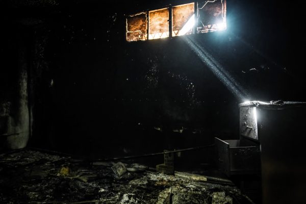 Rmw03423 Arw 1735824000.jpg