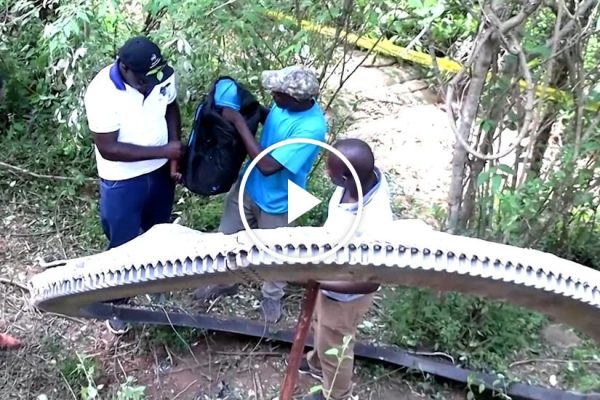 Cover Image2 Facebookjumbo.jpg