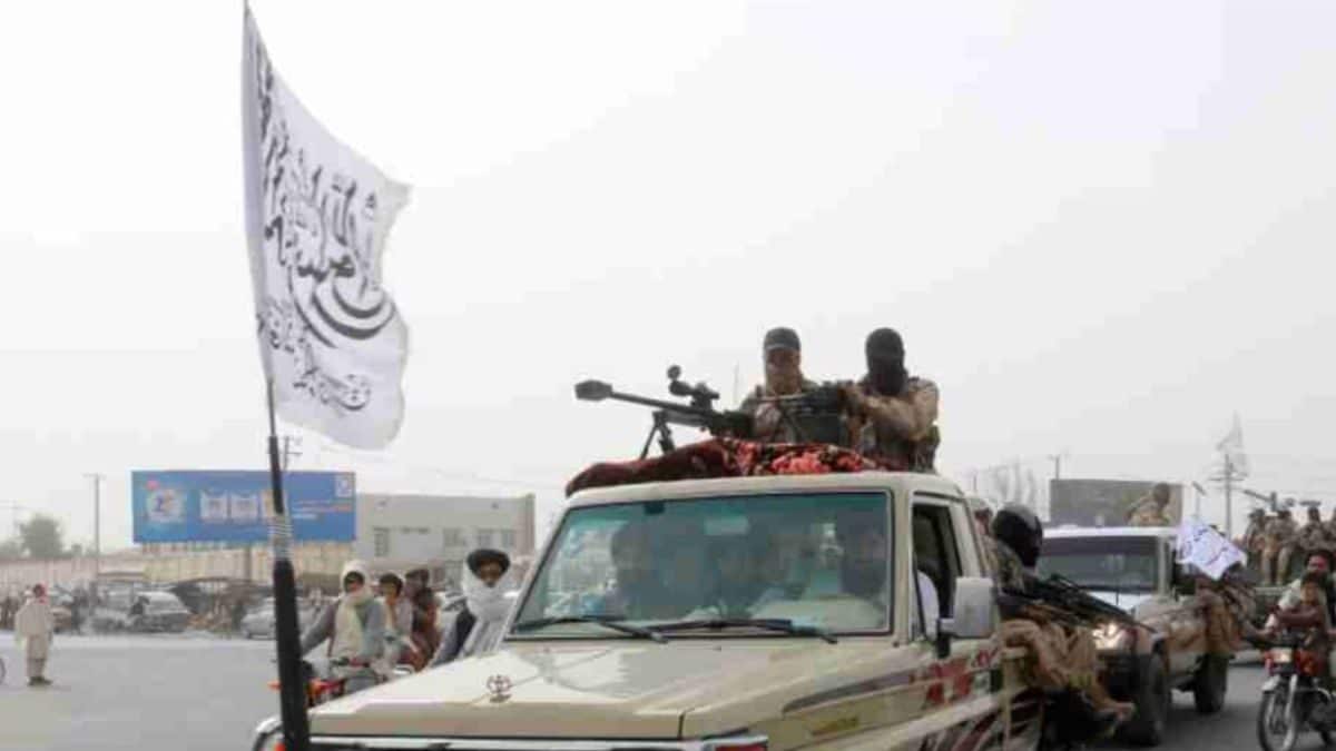 Untitled Design 2024 12 30t082756.031 2024 12 D89da28e0360a3ef9eee1c789773fb45 16x9.jpg