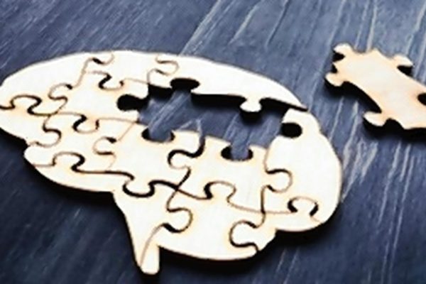 Img Po04 Brain Puzzle 2 1 Q98ef79u.jpg