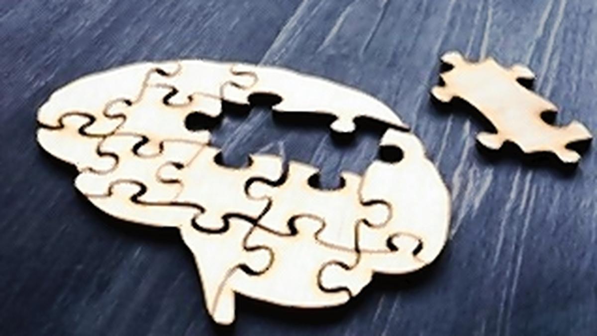 Img Po04 Brain Puzzle 2 1 Q98ef79u.jpg