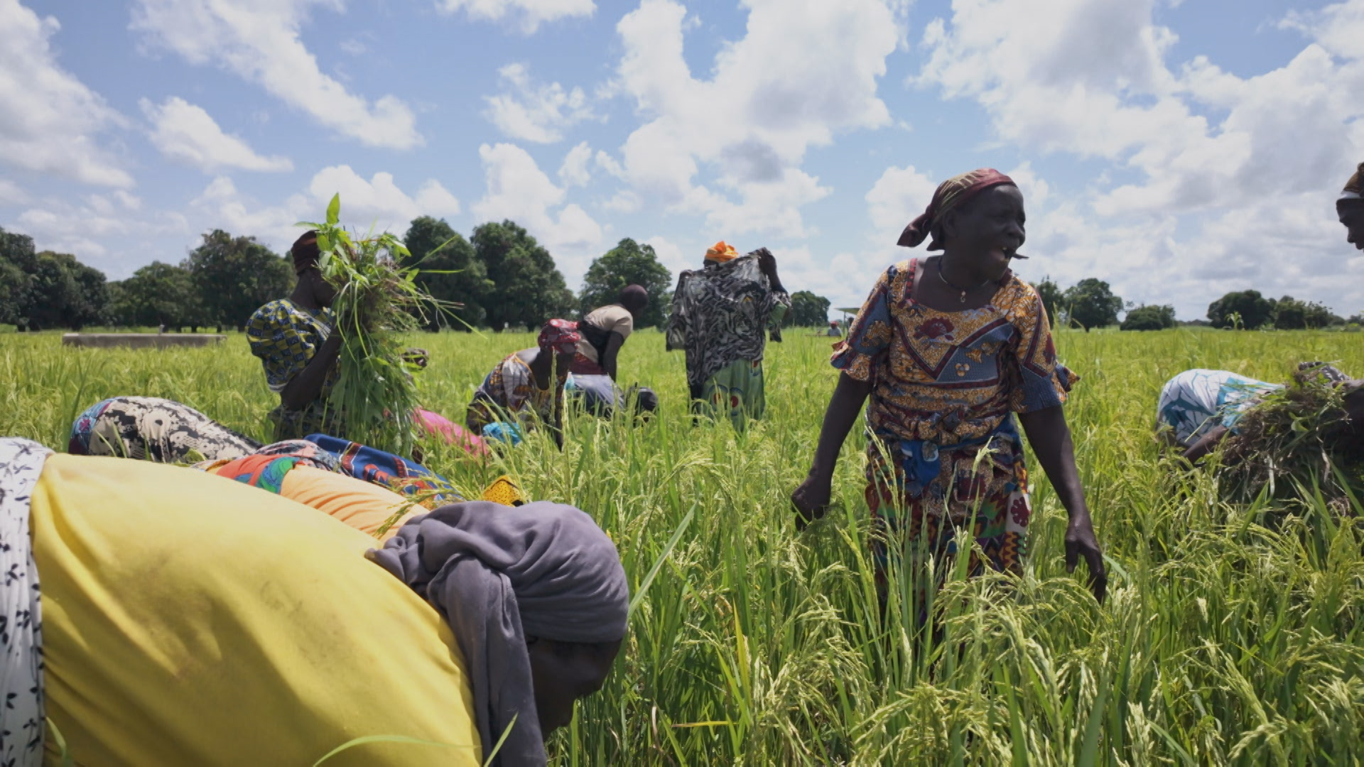 Offensive Agricole Burkina Faso Yt 1739963276.jpg