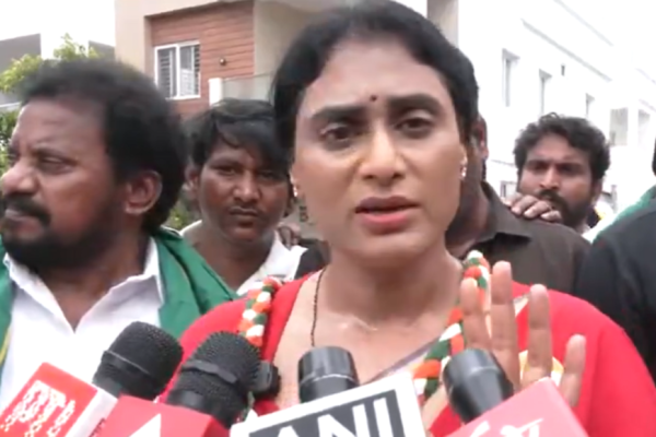 1745997733 photo.jpg