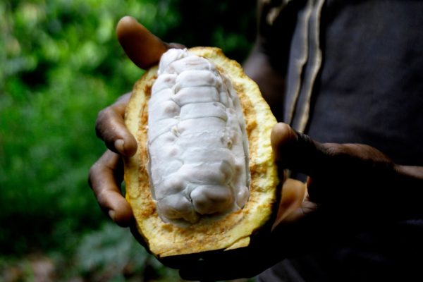 Ap22316473746663 1744314160.jpg