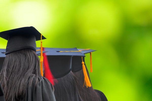 Istock 1219362916.jpg