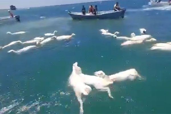 Image 1745757081.jpg