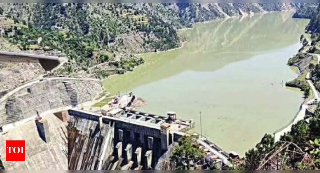 1747781348 photo.jpg