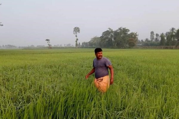 6702 19 8 2022 17 23 16 1 ricefarmer.jpg