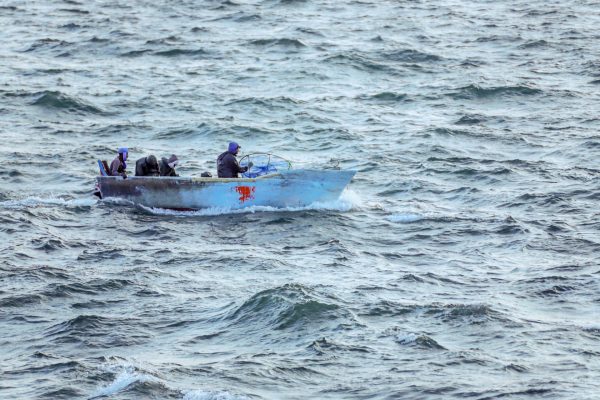 Ap25056497219220 1747239865.jpg