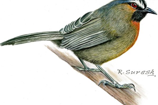 Photo 2025 01 29 13 02 57.jpg