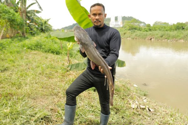 Holdingcatfish001 mgl0753 1747378345 c7ca7f 1747380961.jpg