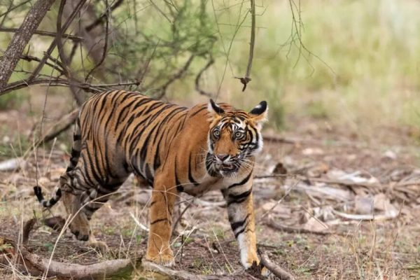 1750536914 photo.jpg