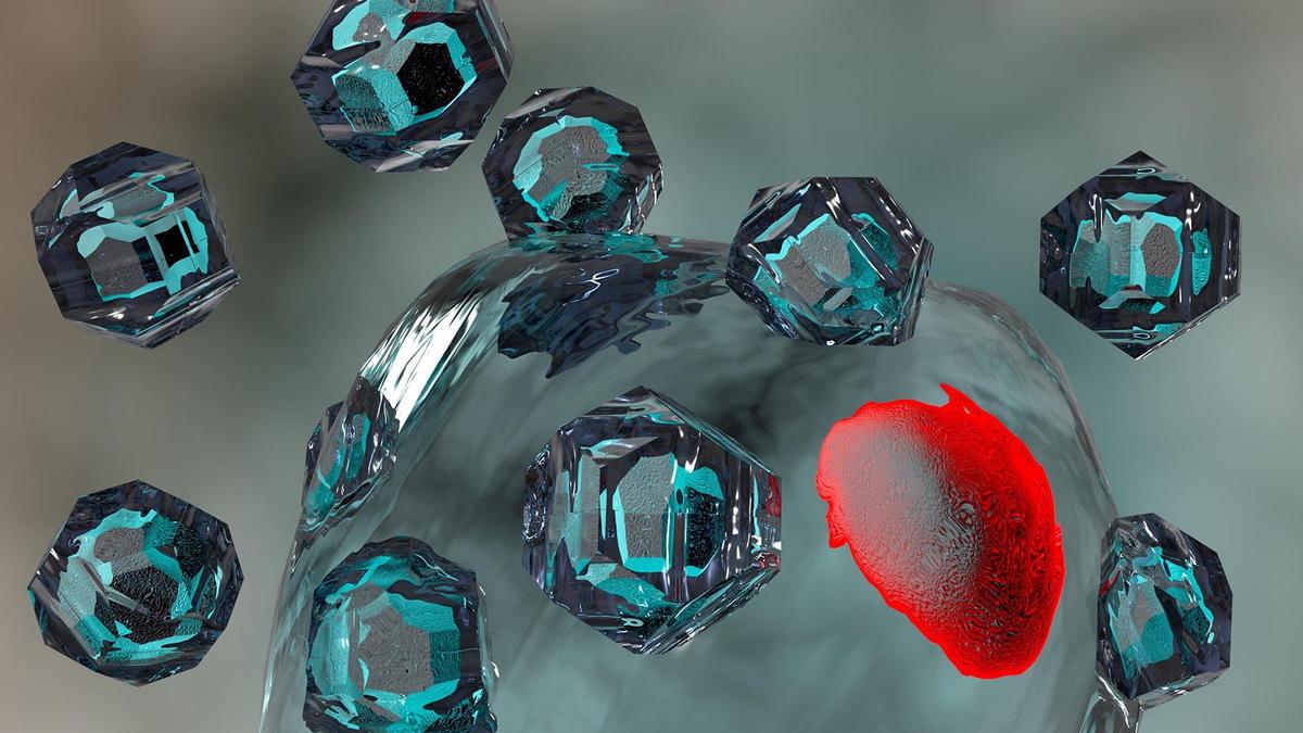 Img bl14 quantum lead 2 1 cvage9pu.jpg