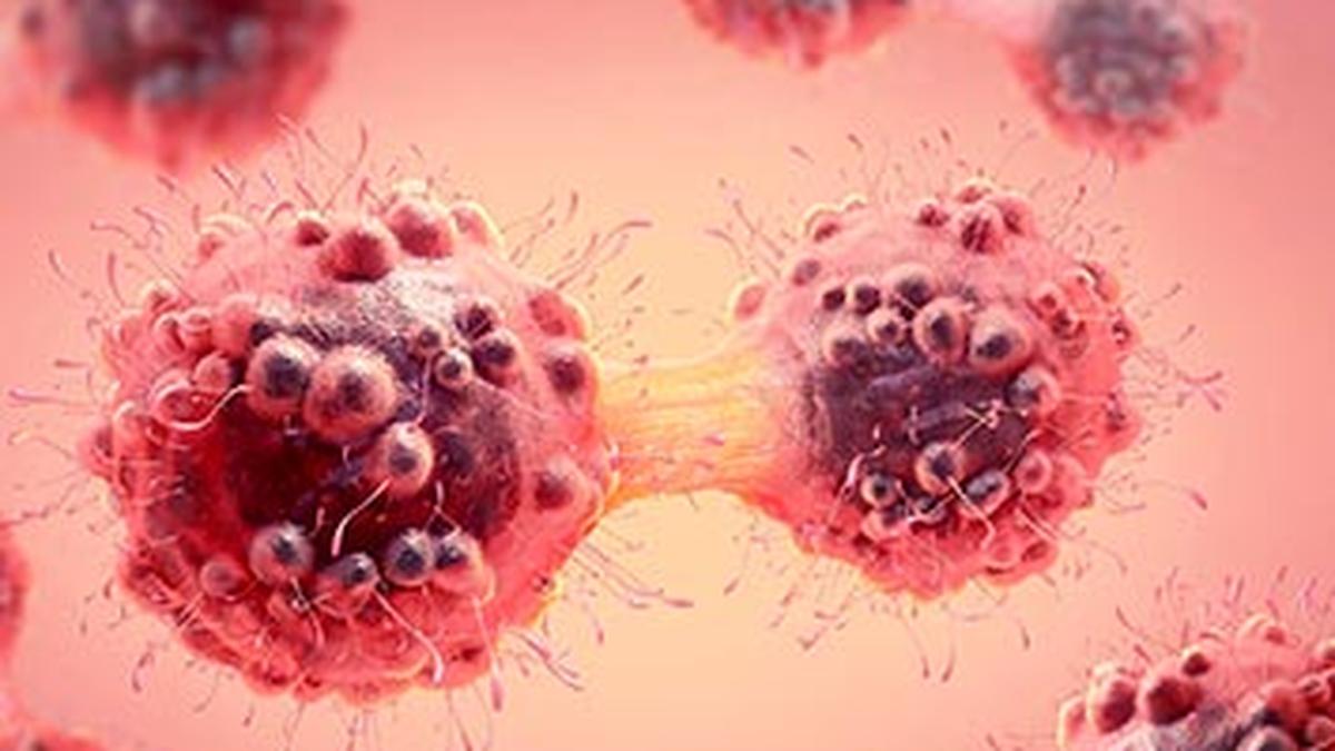 Img bl0508 quantum lab2 2 1 4fd550mq.jpg