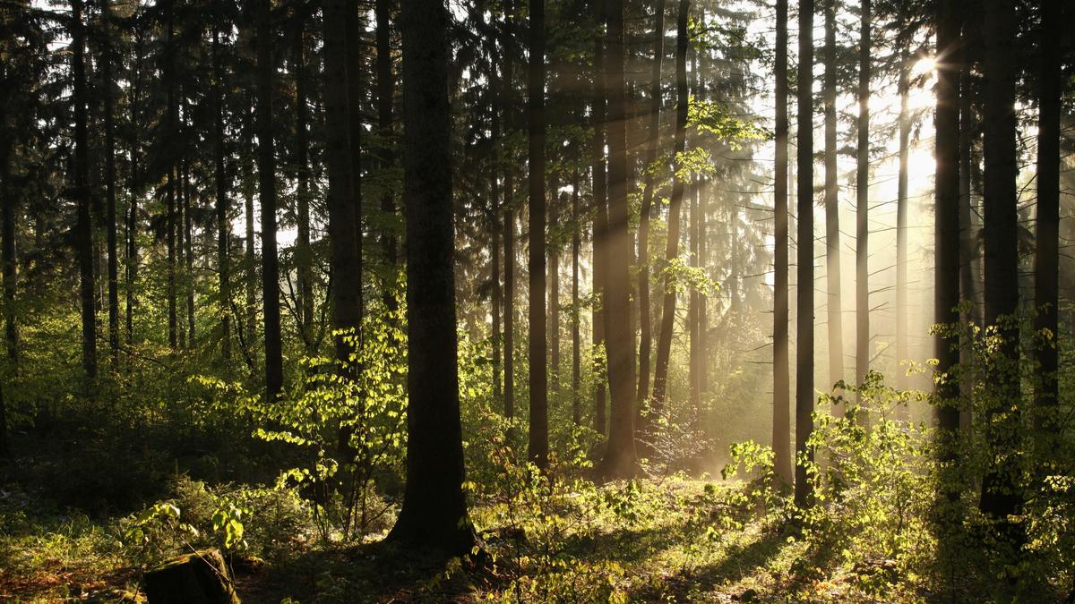 Istock 148973567.jpg