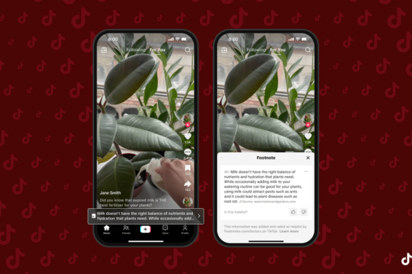 Tiktok footnotes example.png