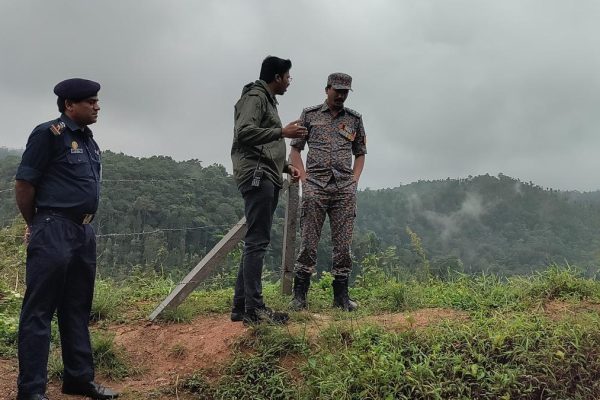 2303 25 6 2025 19 23 43 2 kodagurain2.jpg