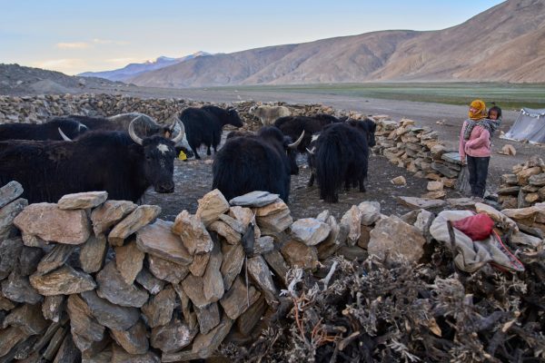 Ap25210697350537 1754051270.jpg