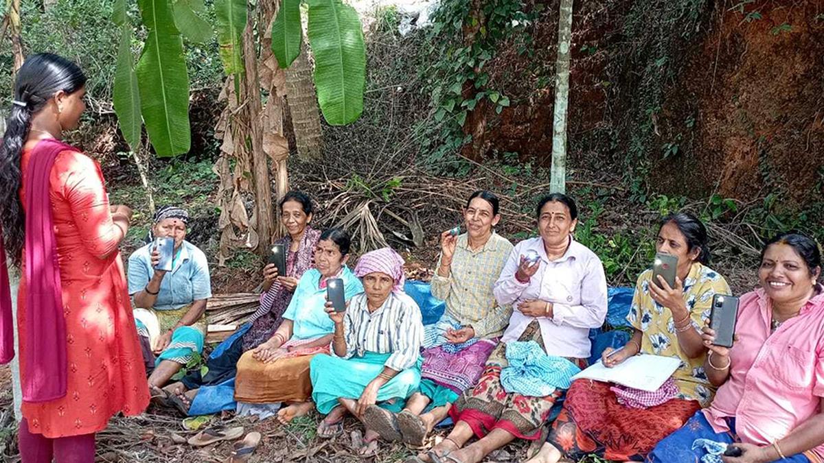 Img photo 2025 08 18 00 2 1 mjepshr0.jpg