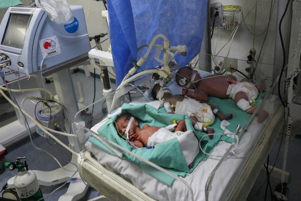 Image 1756485130.jpg