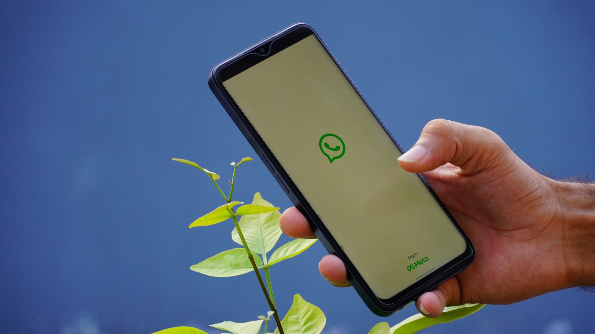 Whatsapp jgmm.jpg
