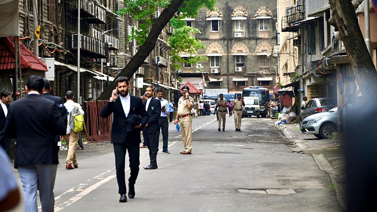 11908 12 9 2025 16 27 11 1 dsc 0649.jpeg