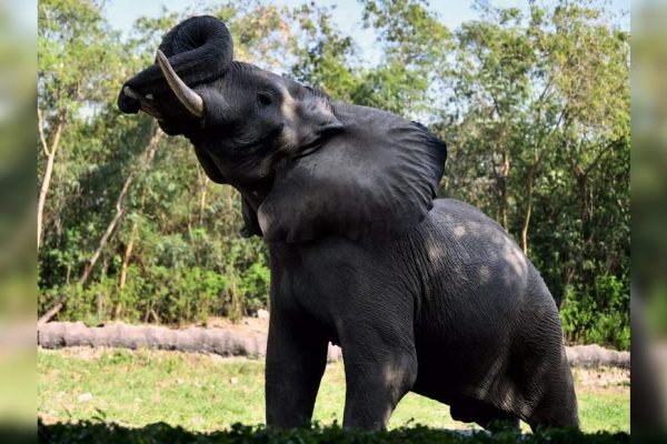 1758210670 photo.jpg