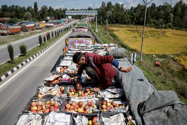 2025 09 11t095517z 1895172910 rc2togasqs8z rtrmadp 3 india kashmir apples 1758094932.jpg