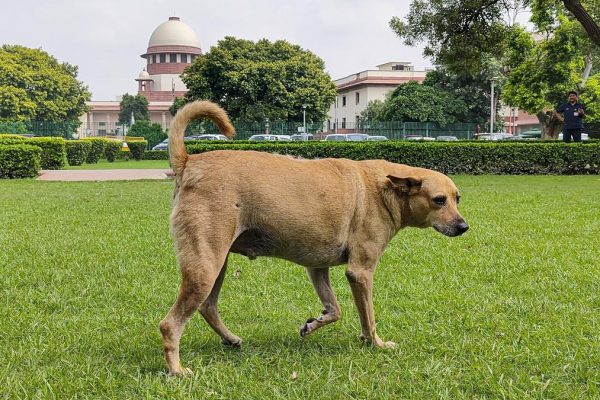 Pti08 22 2025 000028b.jpg