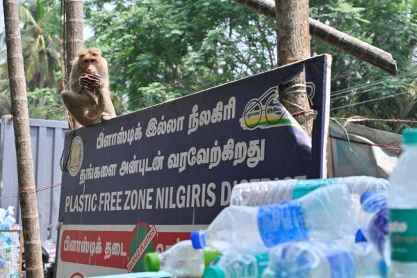 10214 2 4 2025 9 27 25 5 sat8647.jpg