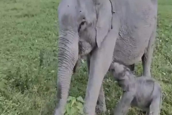 1759677075 photo.jpg