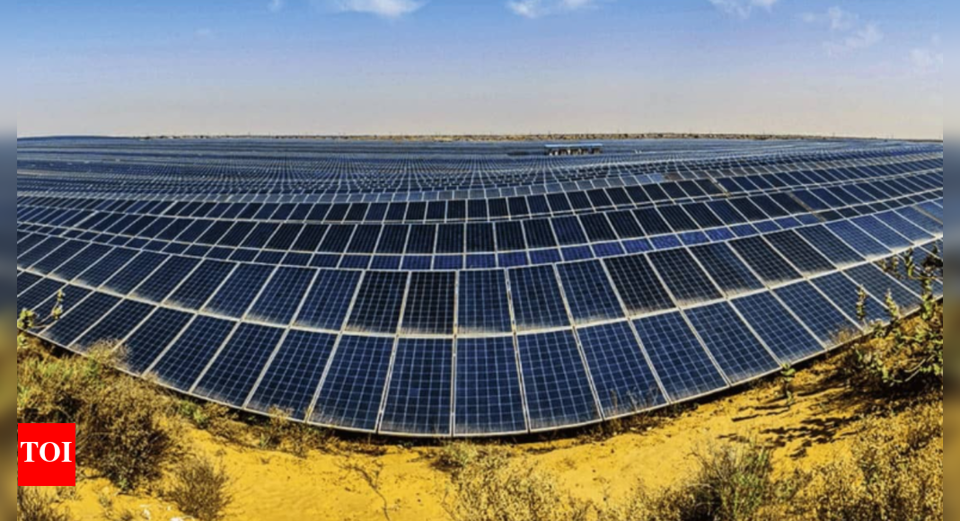 1761098836 photo.jpg