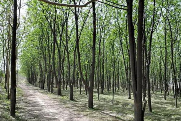 1761187038 photo.jpg