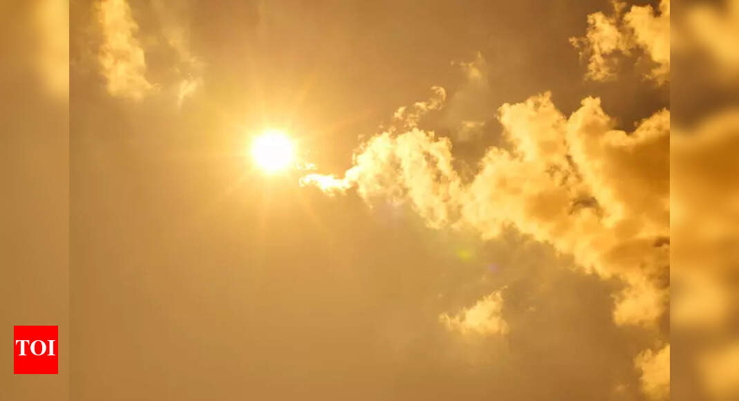 1761706041 photo.jpg