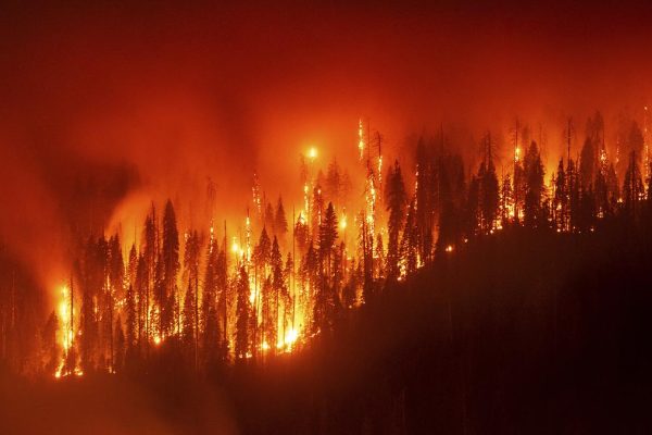 Ap09 09 2025 000497b.jpg