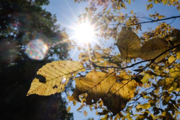 Gettyimages 2239927803.jpg