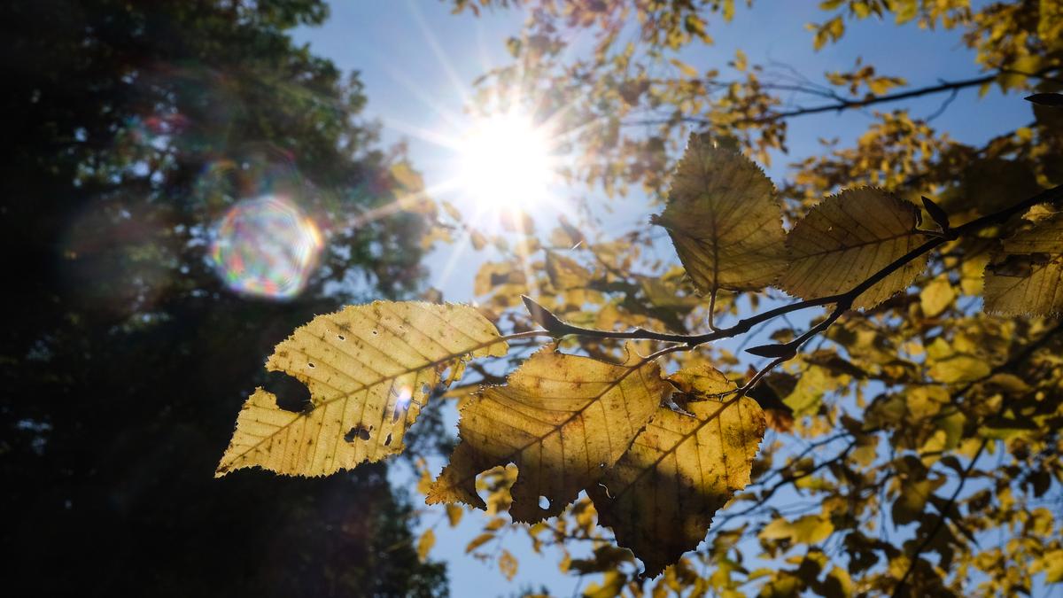 Gettyimages 2239927803.jpg