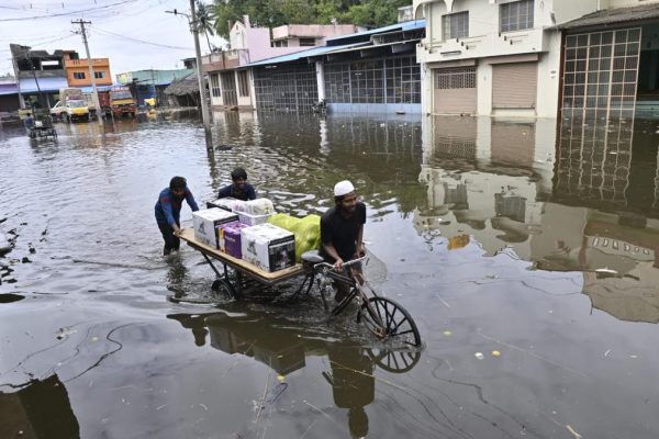 Whatsapp20image202025 10 2320at2012.17.48.jpeg