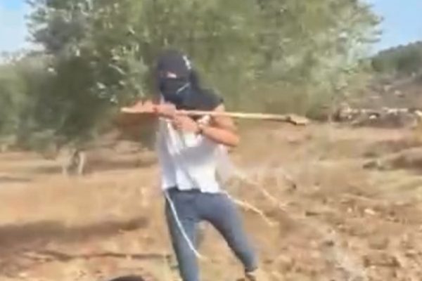 Image 1760962440.jpg