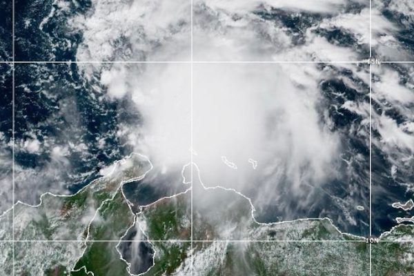 Image 1761162263.jpg