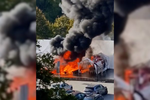 Image 1761165477.jpg